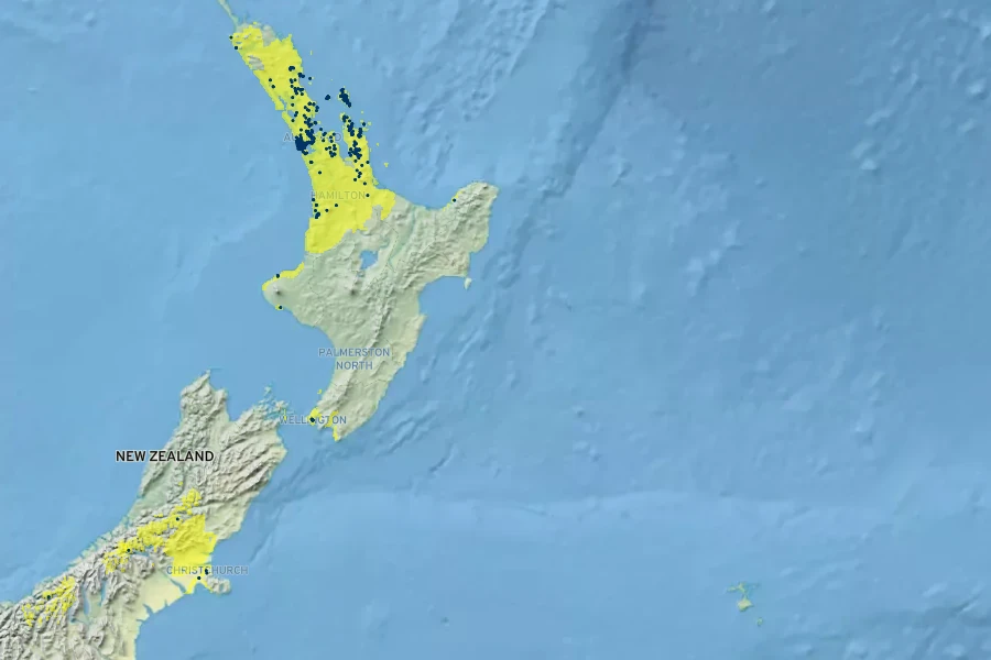 Veronica macrocarpa Native Range