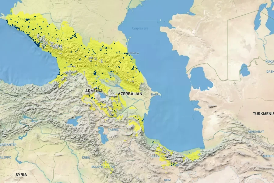 Veronica persica Native Range