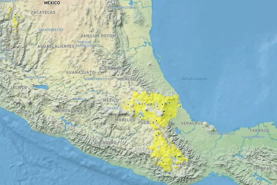 Vesalea floribunda Native Range