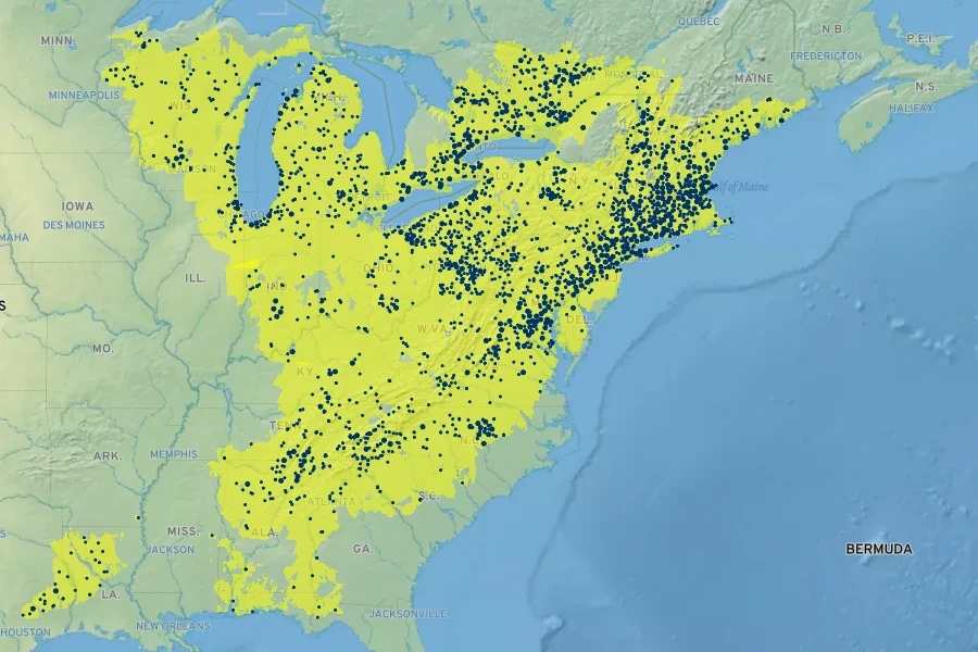 Viburnum acerifolium Native Range