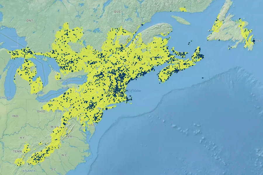 Viburnum cassinoides Native Range