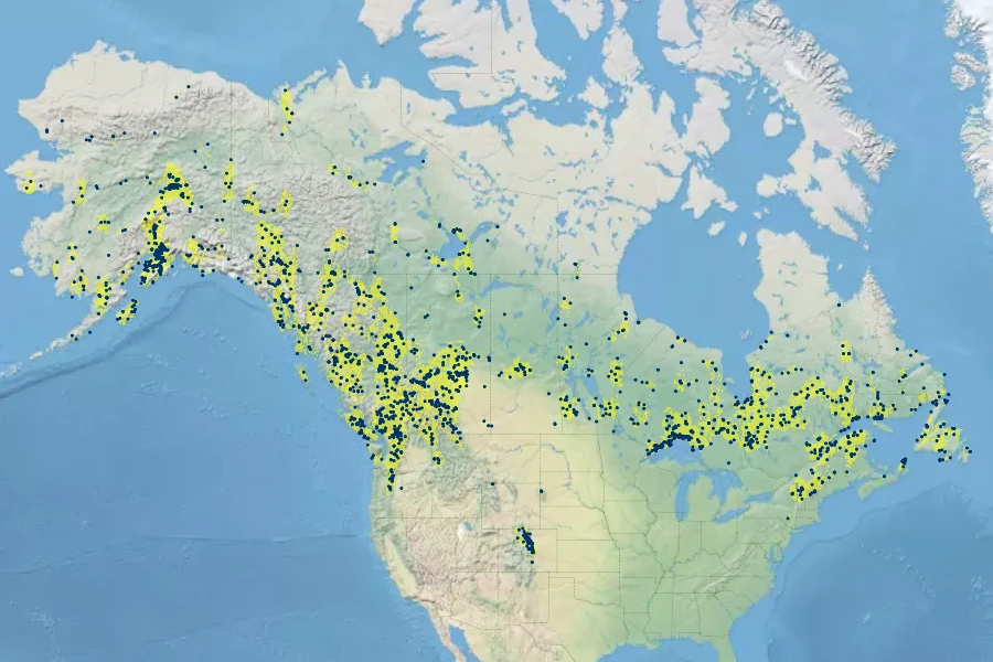 Viburnum edule Native Range