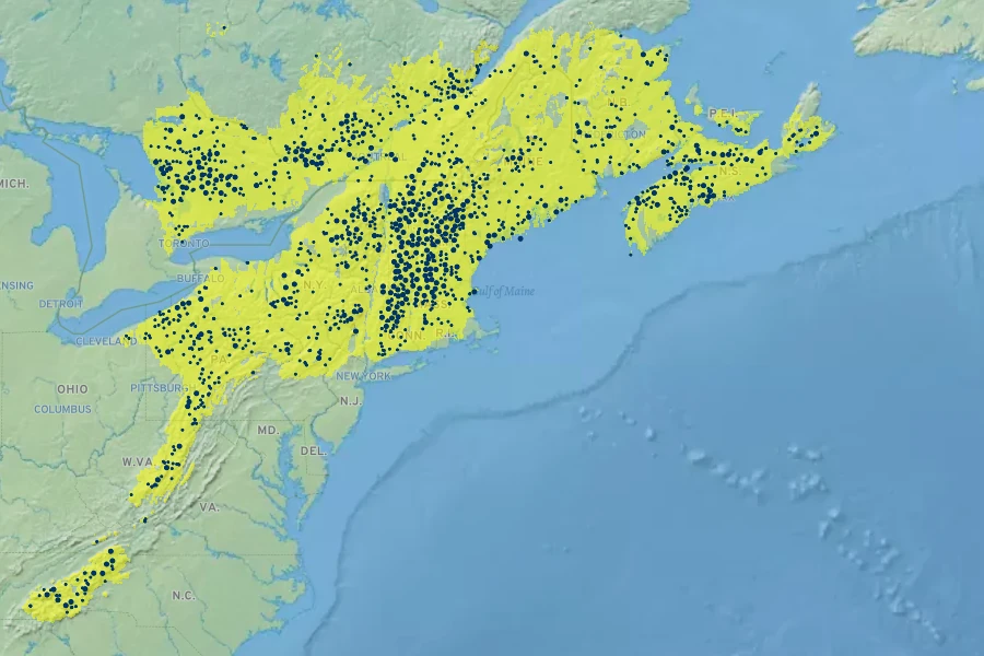 Viburnum lantanoides Native Range