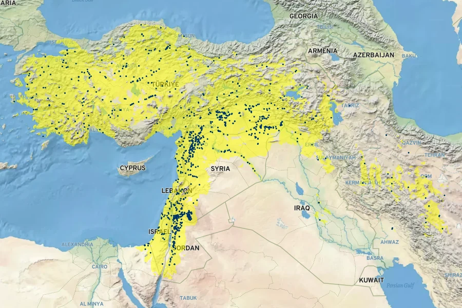Vicia lens Native Range