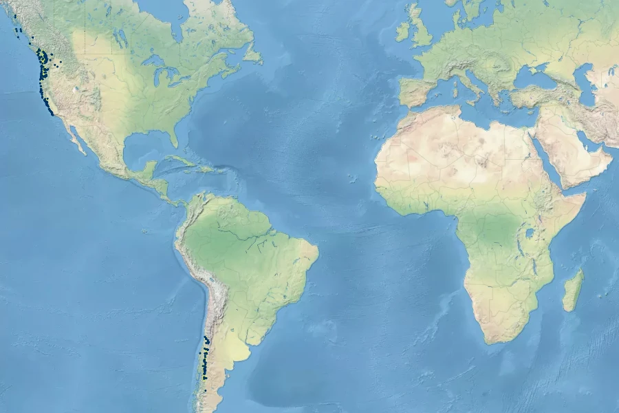 Vicia nigricans Native Range