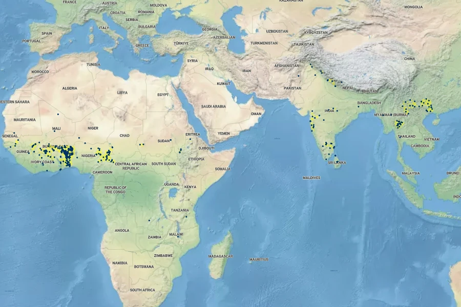 Vicoa indica Native Range