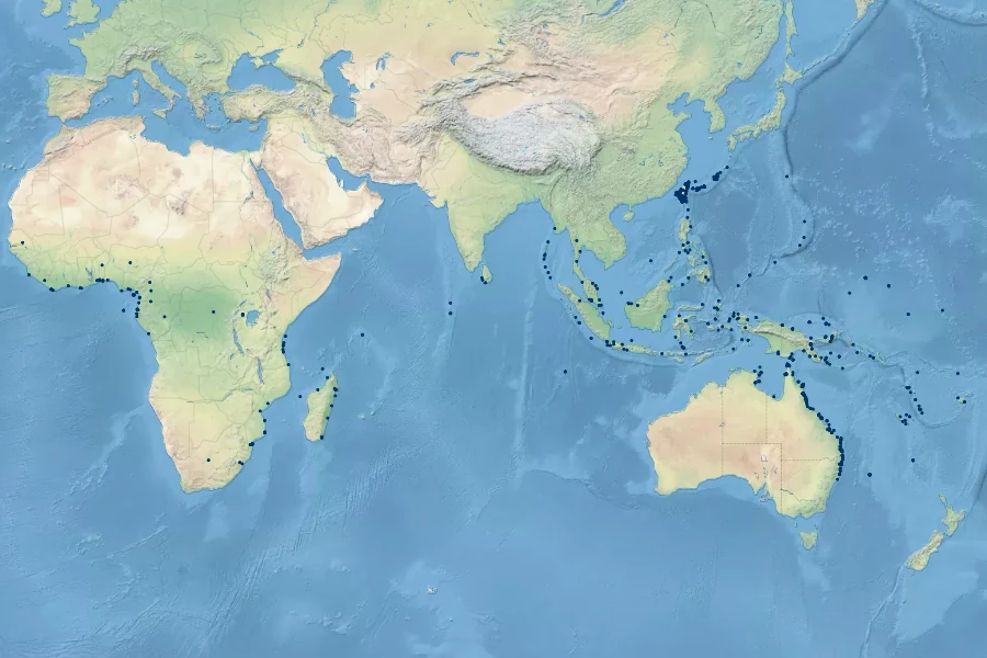 Vigna marina Native Range
