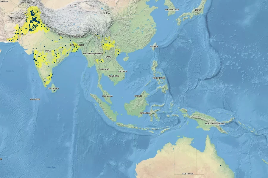 Vigna radiata Native Range
