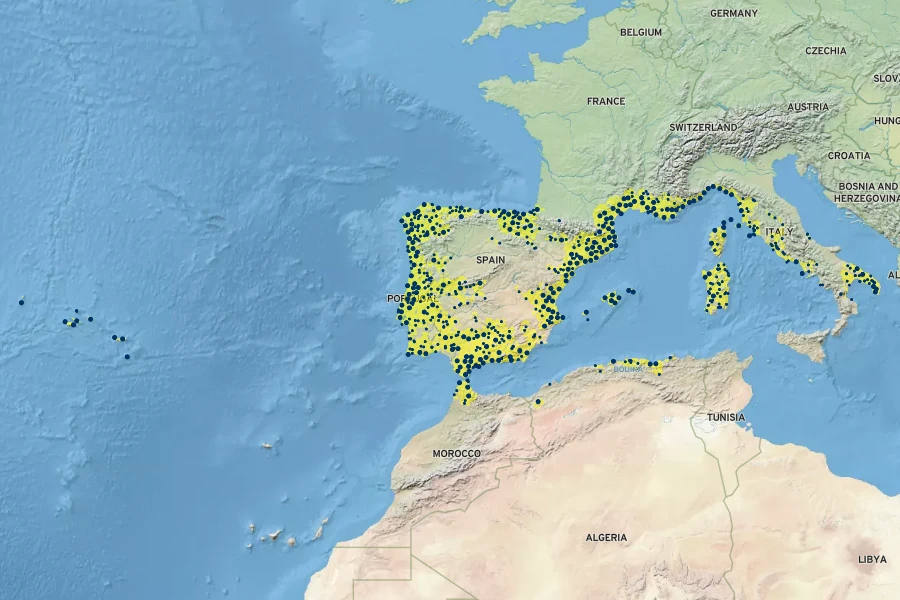 Vinca difformis Native Range
