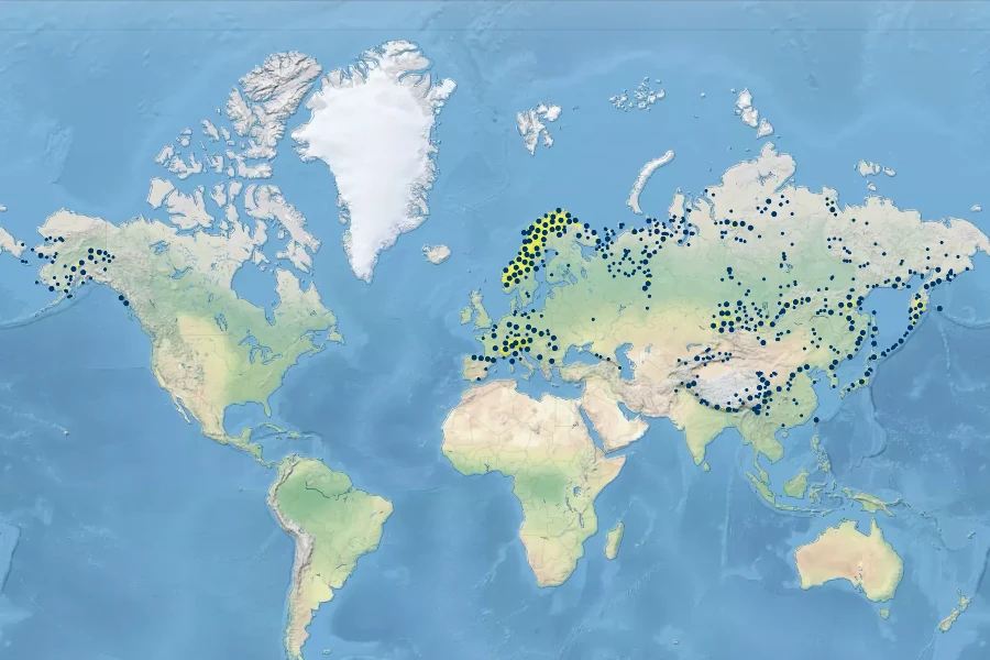 Viola biflora Native Range