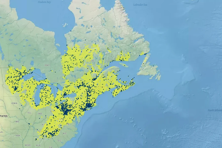 Viola blanda Native Range
