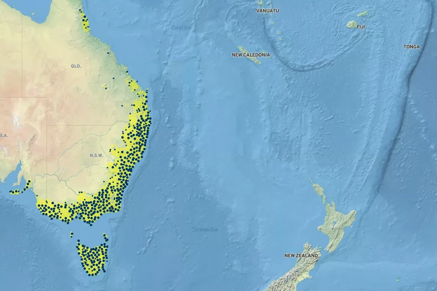 Viola hederacea Native Range
