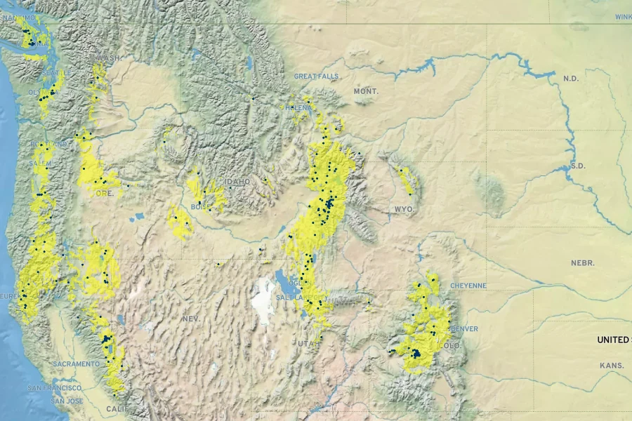 Viola praemorsa Native Range