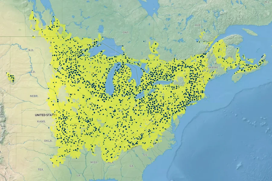 Viola pubescens Native Range