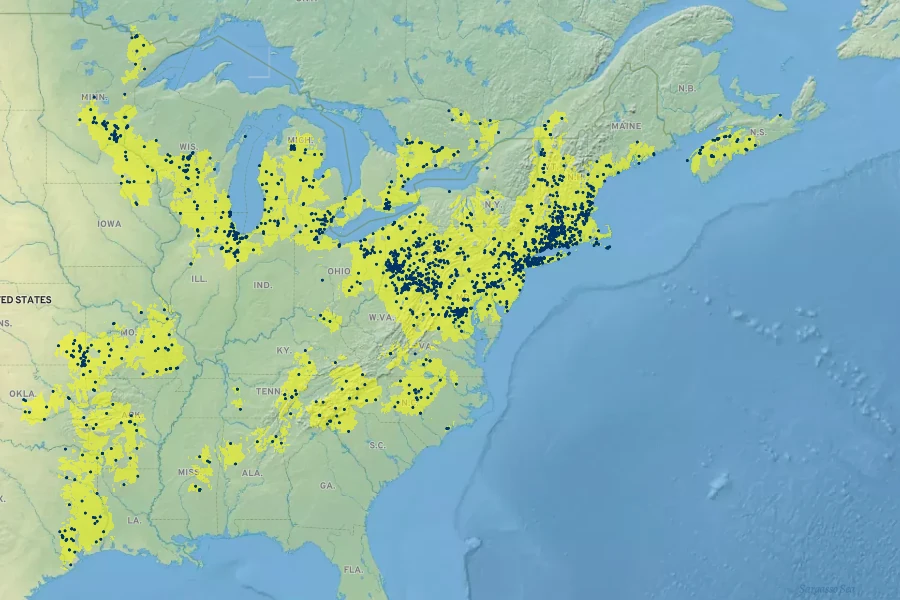 Viola sagittata Native Range