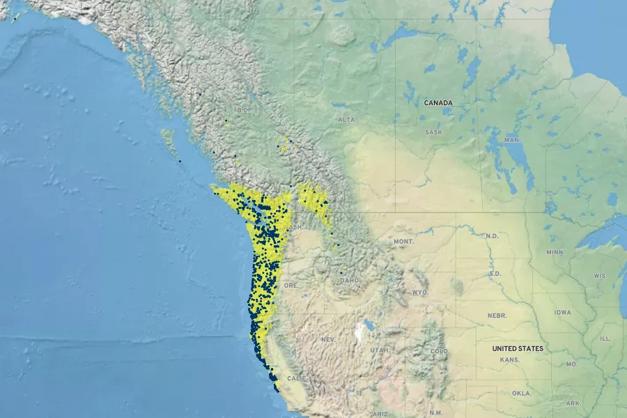Viola sempervirens Native Range