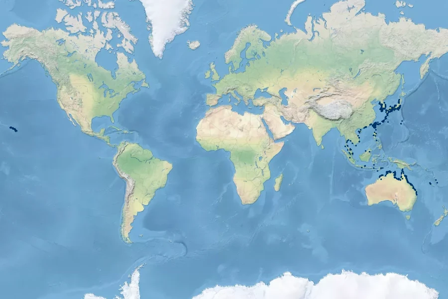 Vitex rotundifolia Native Range