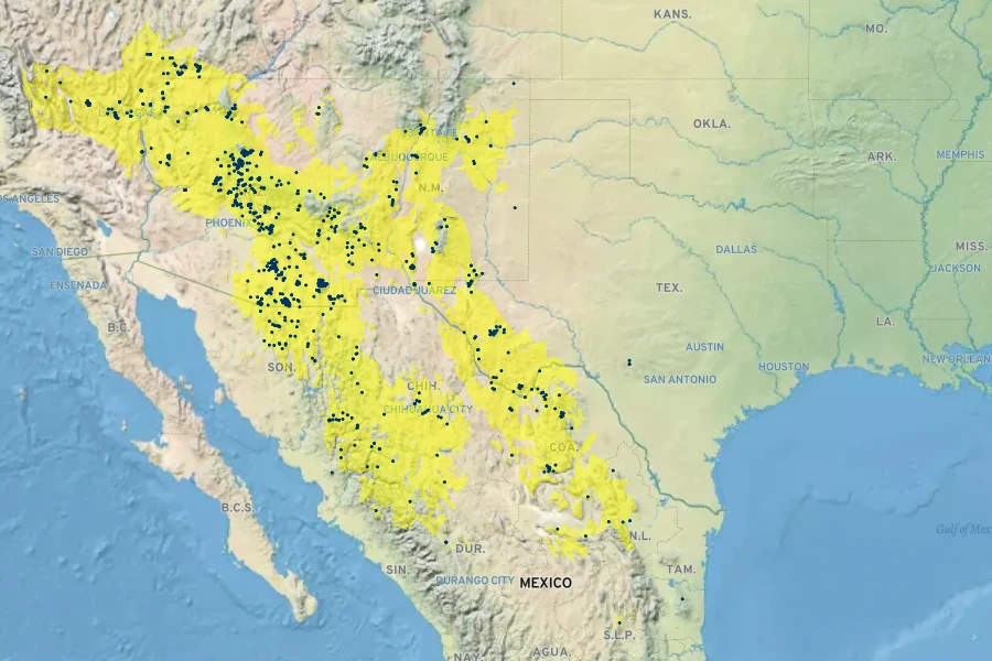 Vitis arizonica Native Range