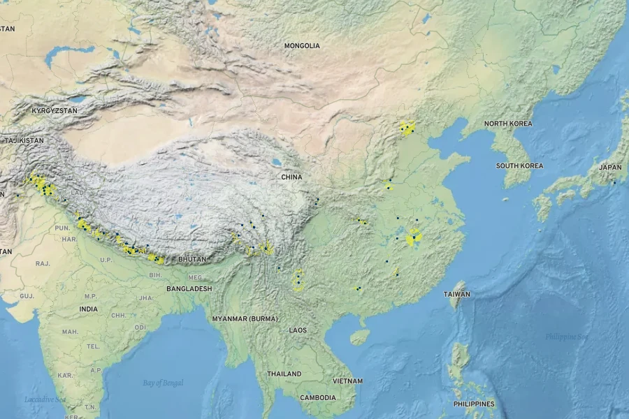 Wikstroemia canescens Native Range