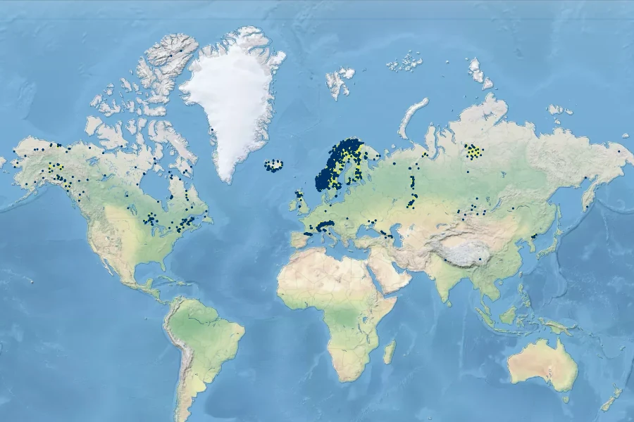 Woodsia alpina Native Range