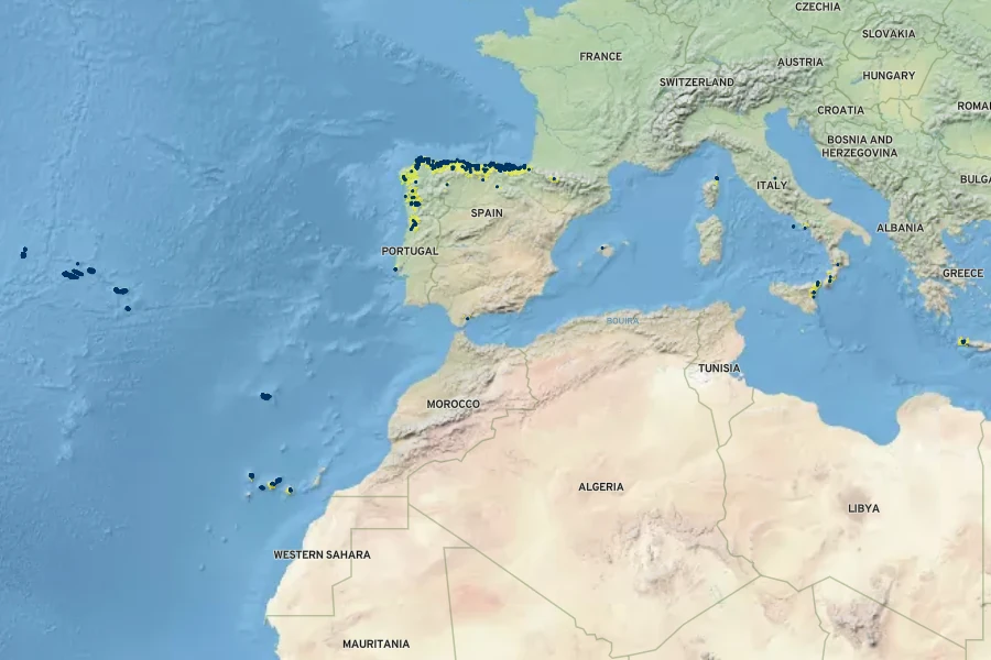 Woodwardia radicans Native Range