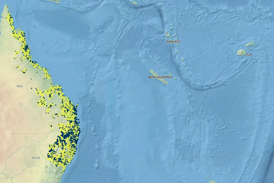 Xanthorrhoea johnsonii Native Range