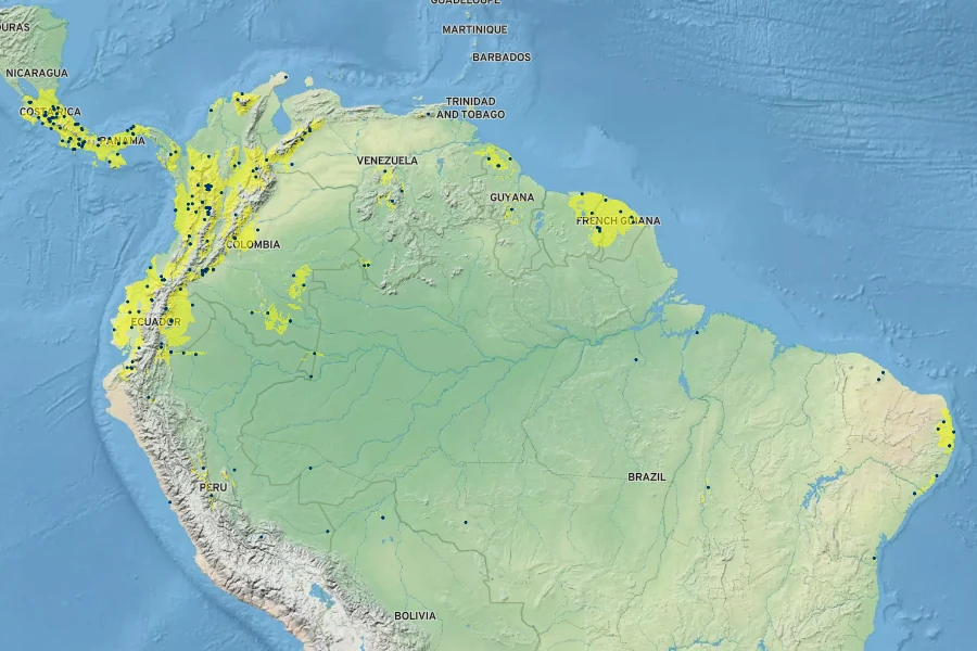 Xanthosoma sagittifolium Native Range