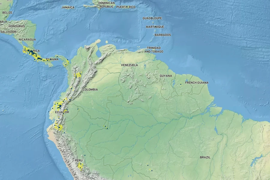 Xanthosoma undipes Native Range