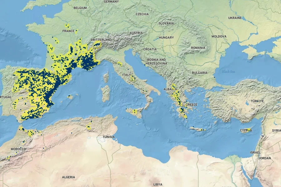 Xeranthemum inapertum Native Range