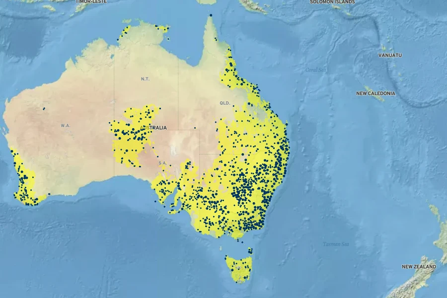 Xerochrysum bracteatum Native Range