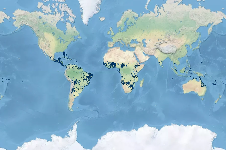 Ximenia americana Native Range