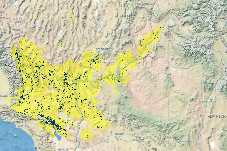 Xylorhiza tortifolia Native Range