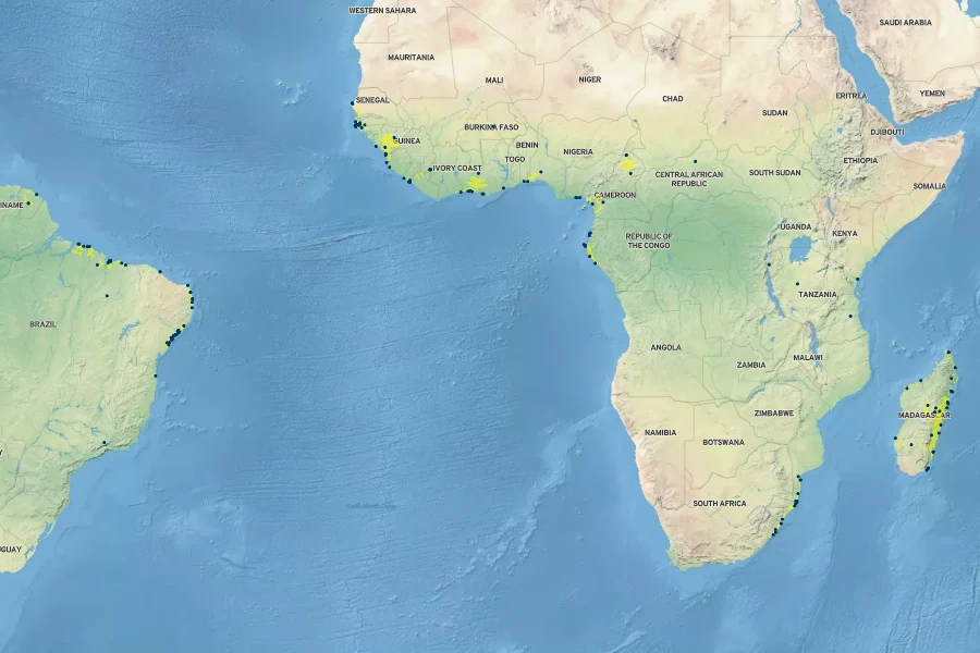 Xyris anceps Native Range