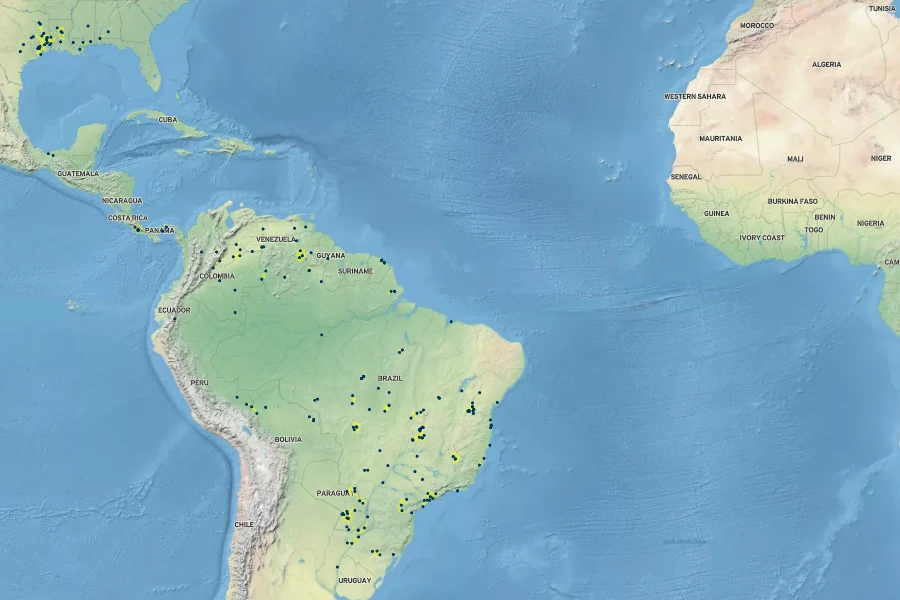 Xyris laxifolia Native Range