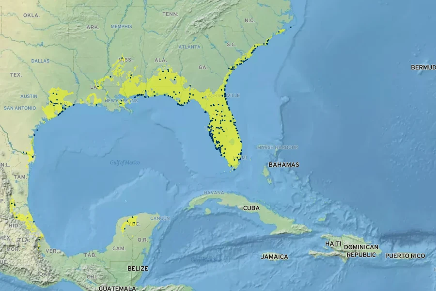 Yucca aloifolia Native Range