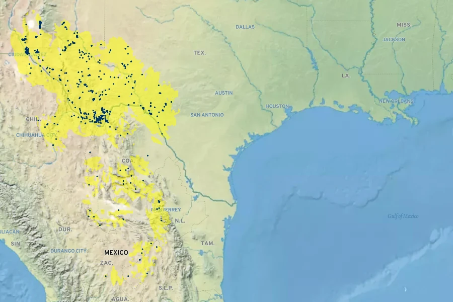 Yucca faxoniana Native Range