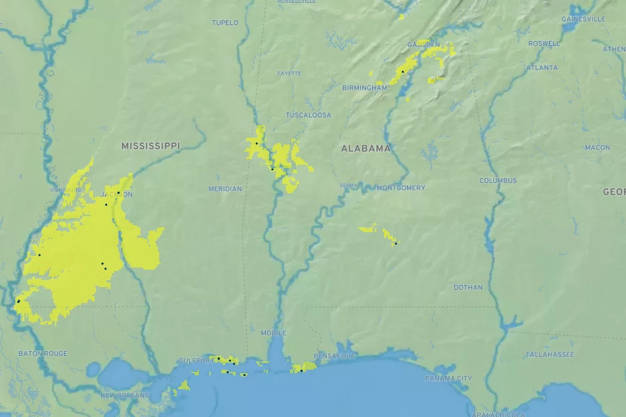Yucca recurvifolia Native Range