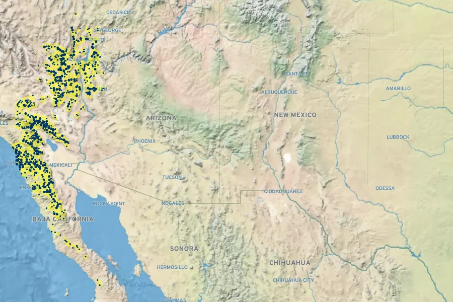 Yucca schidigera Native Range