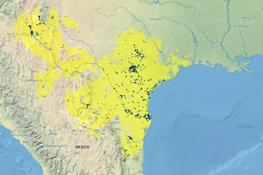 Yucca treculeana Native Range