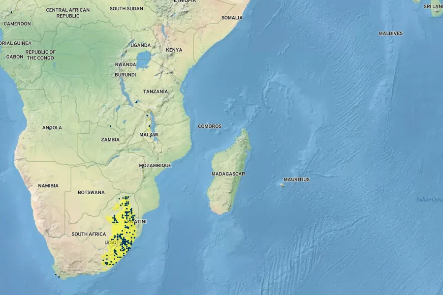 Zantedeschia albomaculata Native Range