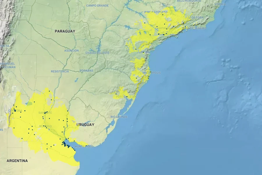 Zephyranthes candida Native Range