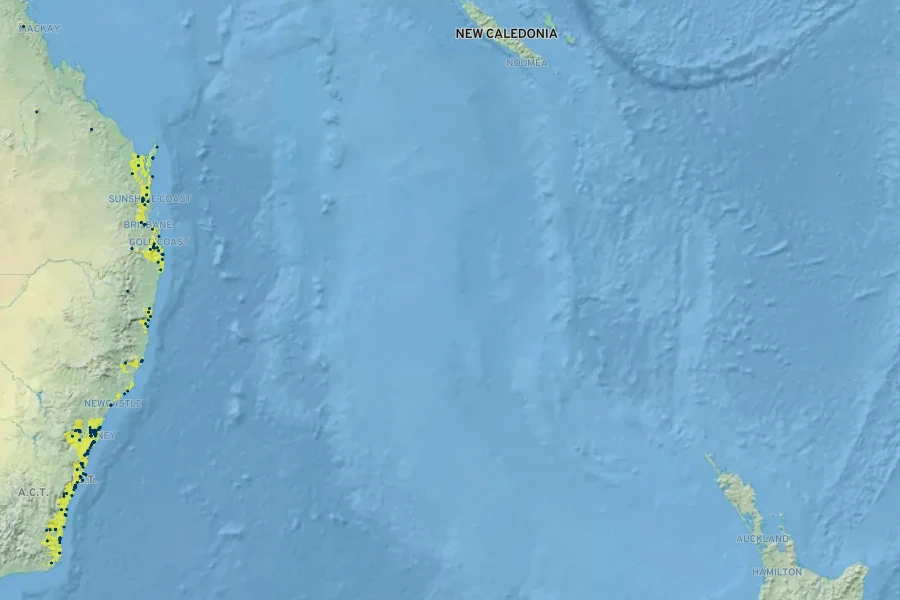 Zieria smithii Native Range