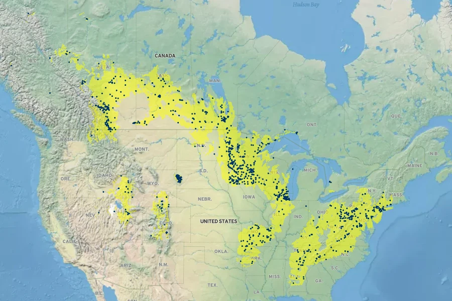 Zizia aptera Native Range