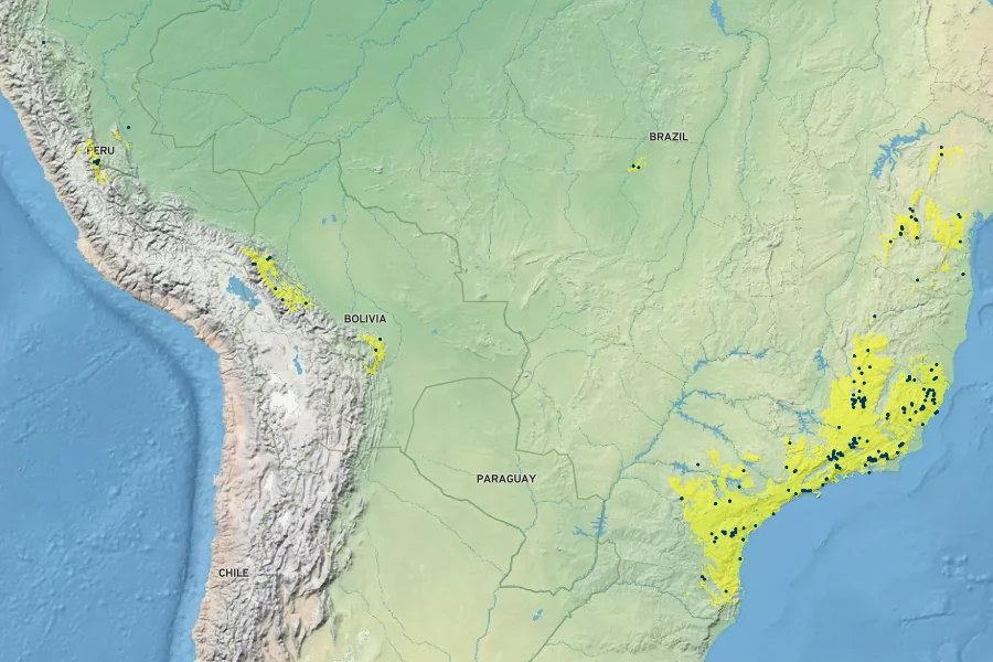 Zygopetalum maculatum Native Range