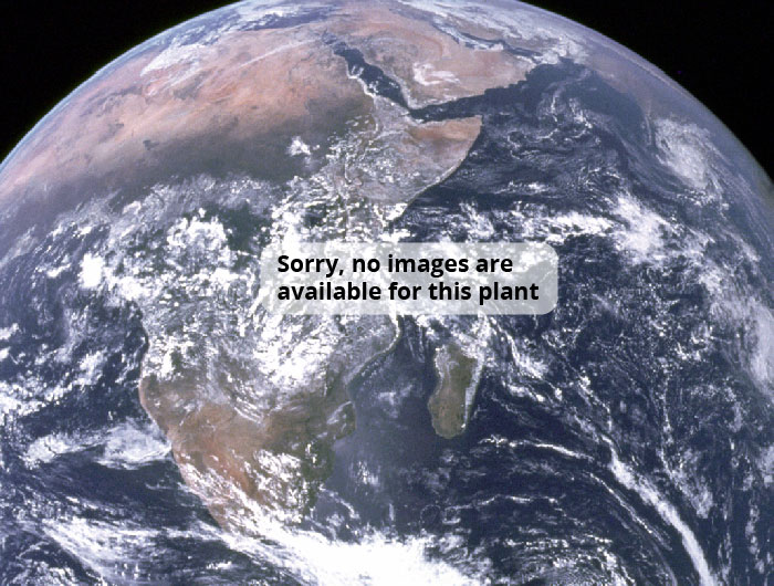 Test species image